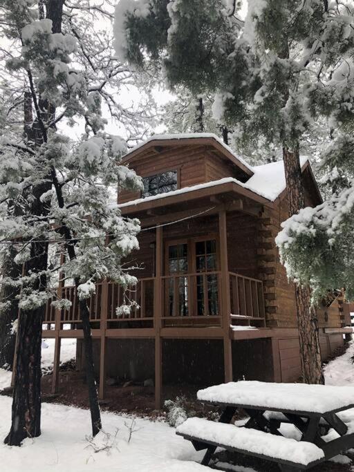 Forest Cabin 4 Cowboys Dream 佩森 外观 照片