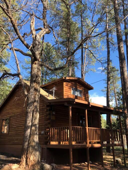 Forest Cabin 4 Cowboys Dream 佩森 外观 照片